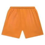 Buy Hellstar Flame Orange Shorts