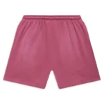 Hellstar Flame Pink Shorts