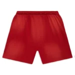 Buy Hellstar Flame Red Shorts